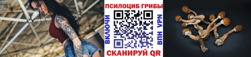Псилоцибиновые грибы мухоморы  сколько стоит  OMG зеркало  Афипский 